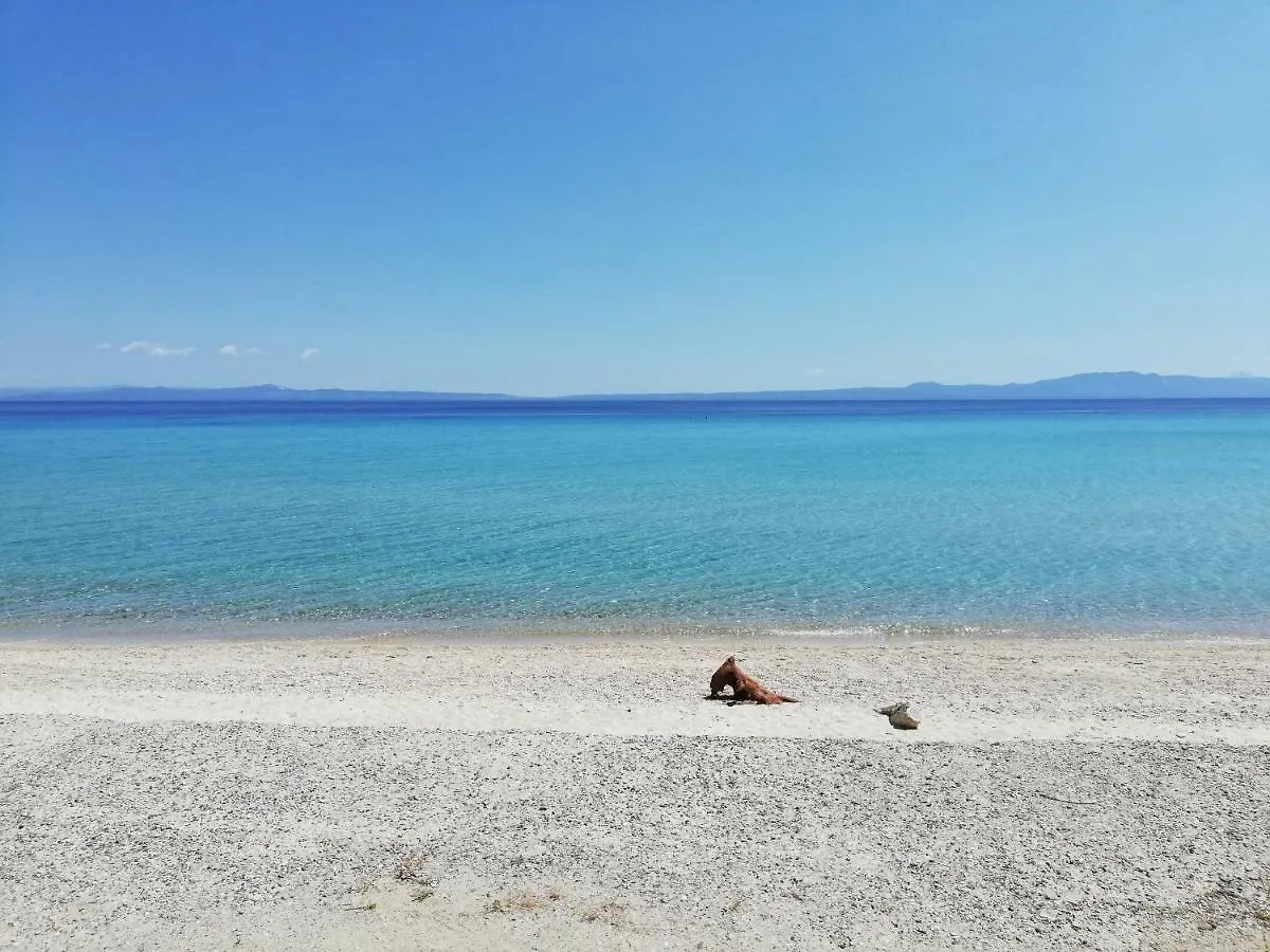 Paradise